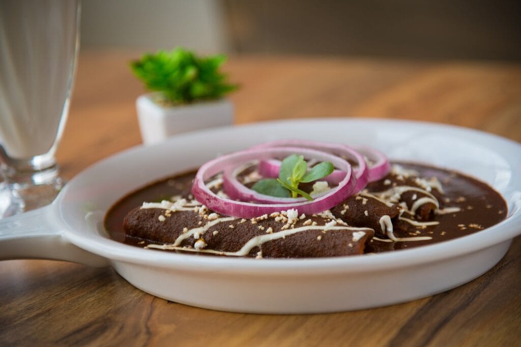 mexican food, enchiladas, onion